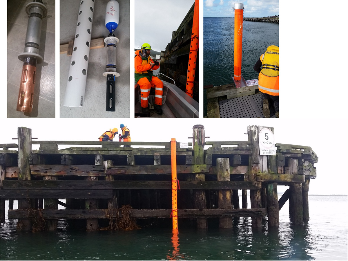 Bluff Wharf installation of EXO sonde temporary deployment